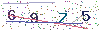 web code