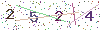 web code