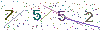web code