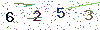 web code