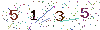 web code