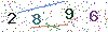 web code