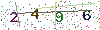web code