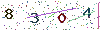 web code