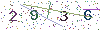 web code