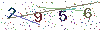 web code