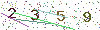 web code