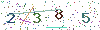 web code