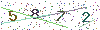 web code